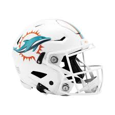 Dolphins Helmet